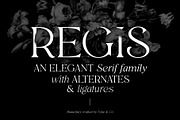 Regis | Elegant Serif Font Family, a Serif Font by Type and Co. (Thumbnail 1 of 20)