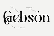 Azekna - Modern Serif Font, a Serif Font by Rishsketch (Thumbnail 8 of 15)