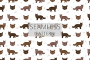 York Chocolate cat clip art, an Animal Illustration by pet design shop (Thumbnail 4 of 4)