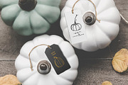 Pumpkins. Graphic collection, an Object Graphic by Vera●Suleimanova (Thumbnail 13 of 14)