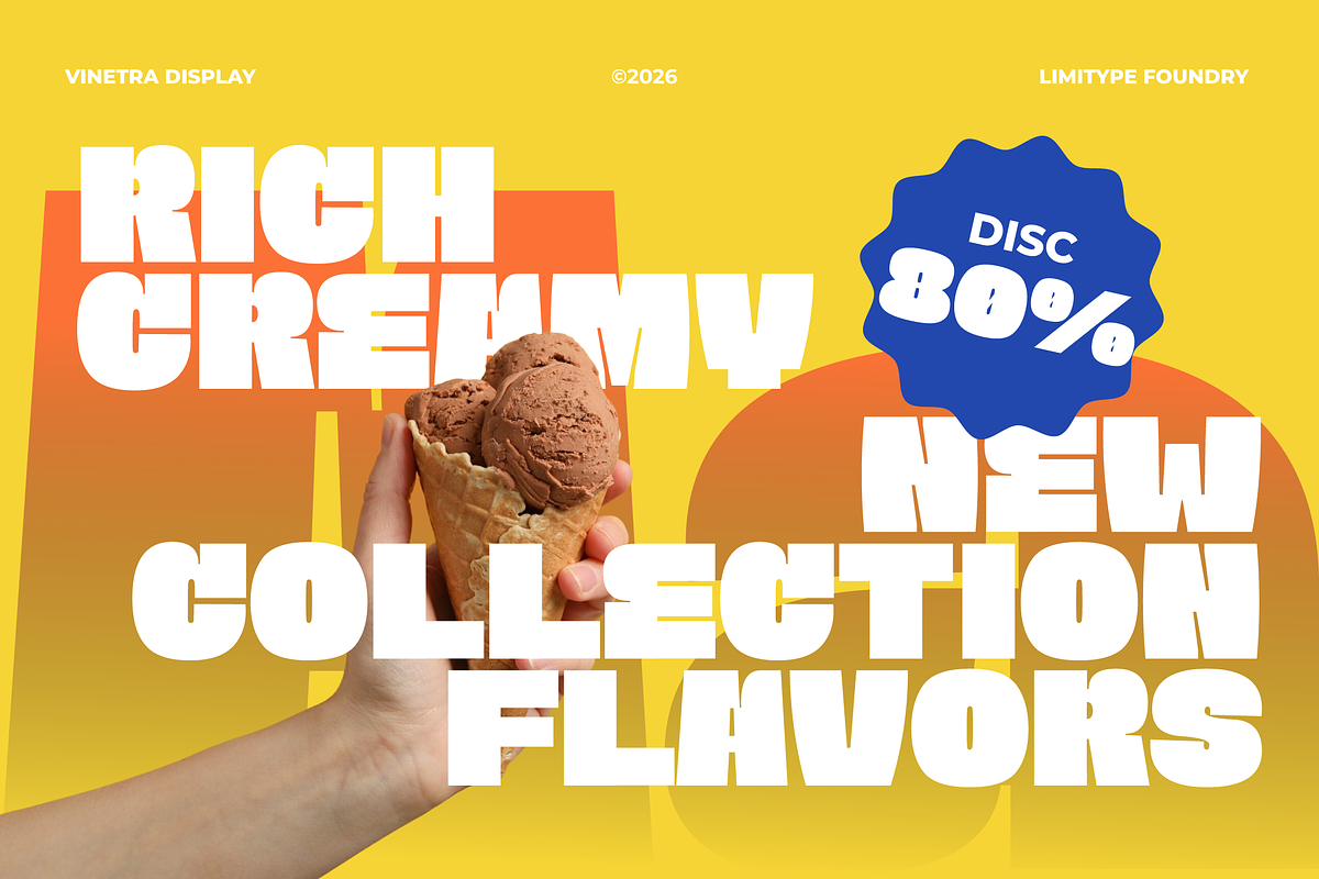 Vinetra - Bold Font, a Sans Serif Font by limitype (Photo 2 of 11)