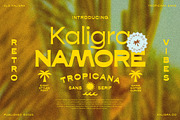 Kaligra Tropicana Sans, a Sans Serif Font by Kaligra.co (Thumbnail 2 of 22)