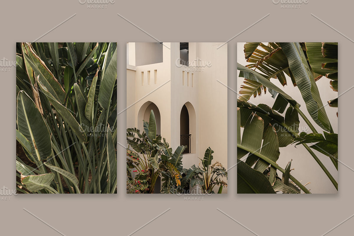 Lifestyle Essentials 4, a Beauty & Fashion Photo by Floral Deco (Photo 2 of 7)