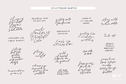 Adorable Horses | Hand drawn clipart, an Animal Illustration by Olia (Thumbnail 9 of 11)