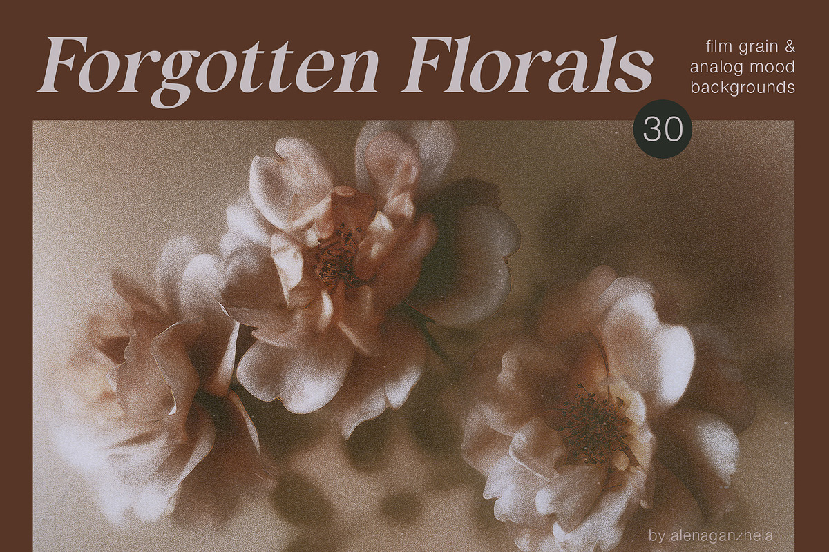Grainy Film Floral Backgrounds, a Background Graphic by alenaganzhela (Photo 1 of 8)