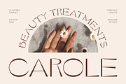 CS Austria – Elegant Font, a Sans Serif Font by Craft Supply Co. (Thumbnail 6 of 8)