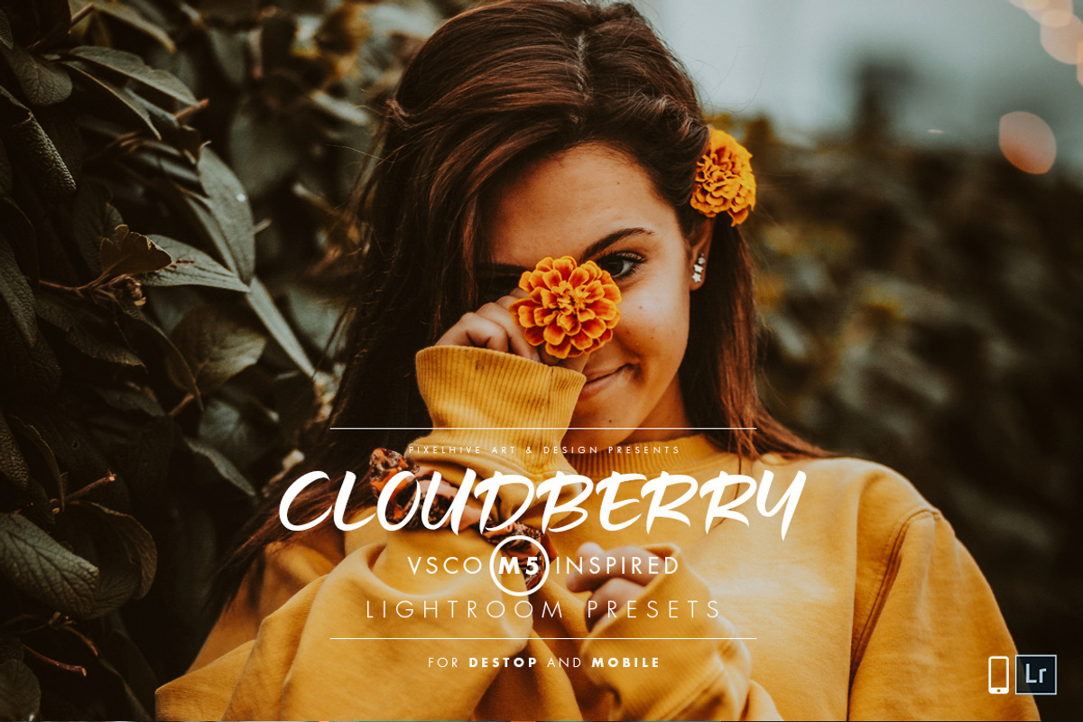 Cloudberry Lightroom Preset