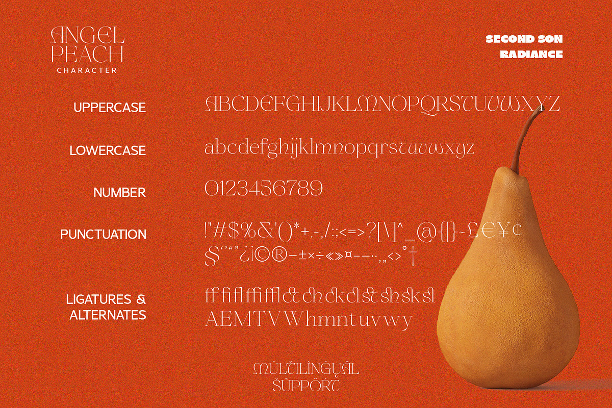 SS Angel Peach - Fancy Serif Font, a Serif Font by Typocracy Studio (Photo 12 of 12)