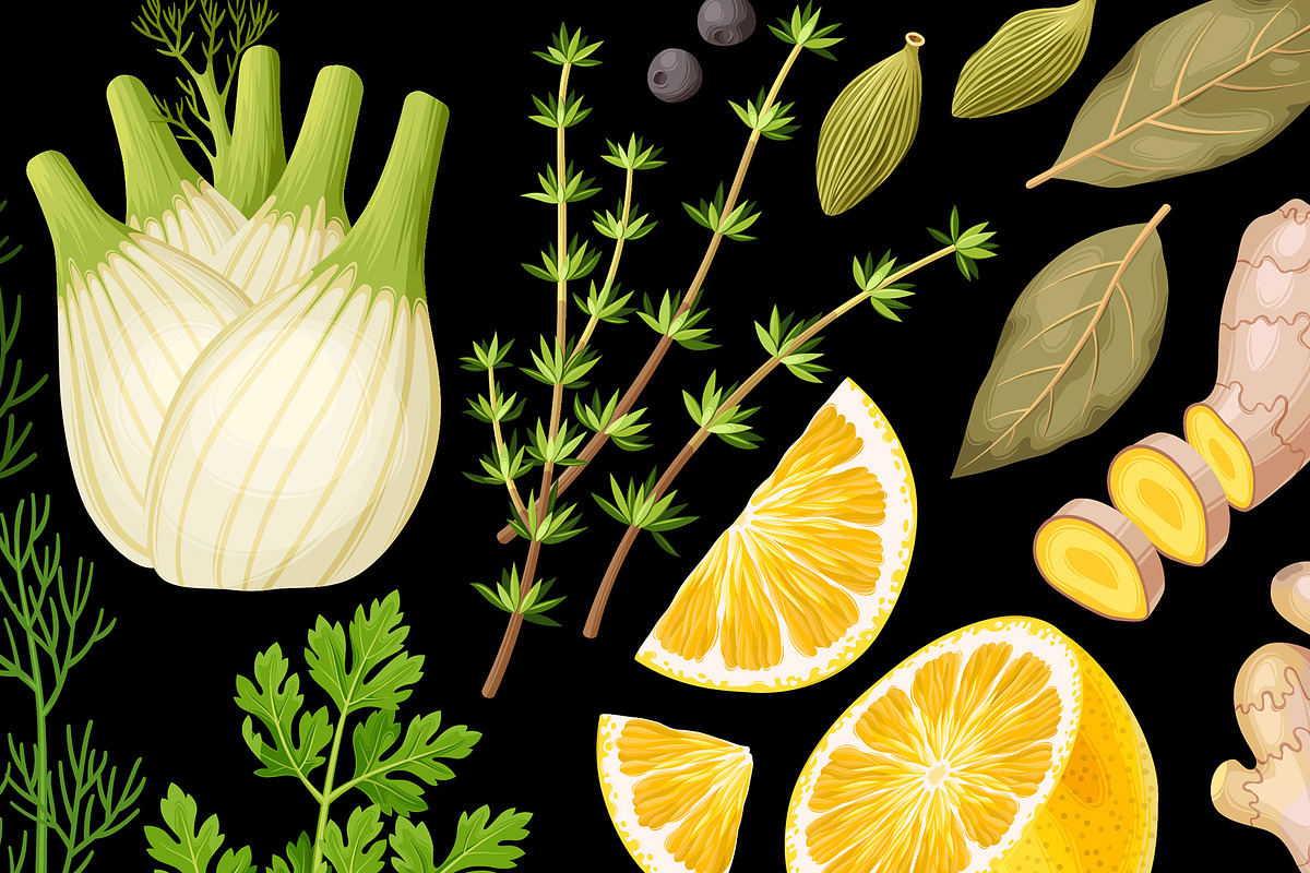 Spices and Herbs Bundle, a Food Illustration by GreyLilac (Photo 5 of 6)