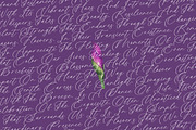 Betany Katepia Beauty Calligraphy, a Script Font by stylishtype.co (Thumbnail 15 of 20)