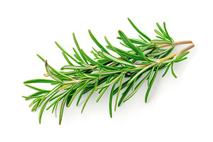 Rosemary twig isolated on white background, a Food & Drink Photo by AlyaAnd