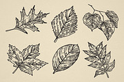 Nature Forest Hand drawn Elements #2, an Illustration by Artolabs (Thumbnail 5 of 6)