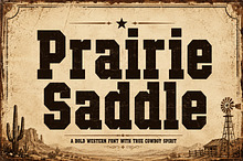 Prairie Saddle
