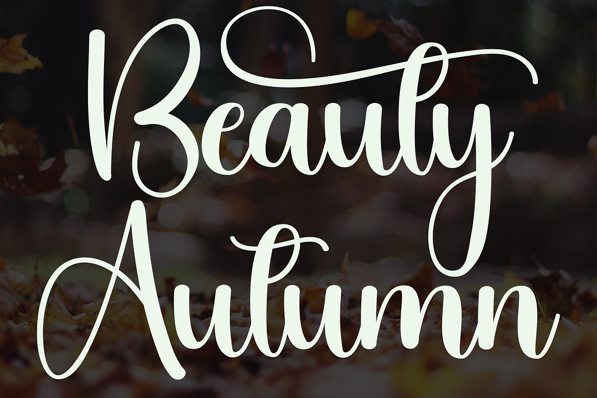 Autumn Signature, a Handwritten Font by FreshTypeINK (Photo 4 of 8)