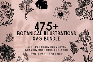 475 Botanical Illustrations SVGs