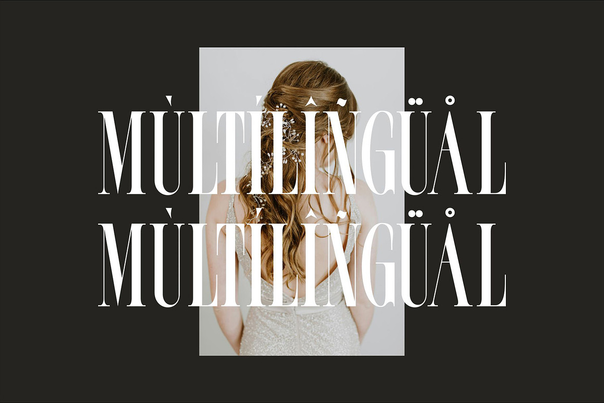 FROLES Modern Serif Font, a Serif Font by Alfinart (Photo 9 of 9)