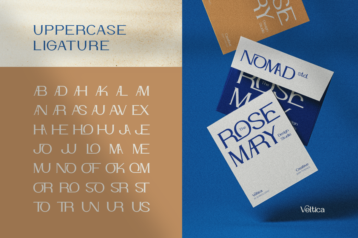 Veltica, a Serif Font by Burntilldead (Photo 6 of 13)