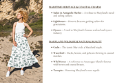 Maryland Seamless Pattern Set, a Background Graphic by Hughes Studio (Thumbnail 4 of 11)