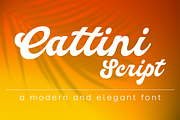 Cattini Script, a Script Font by Eurotypo (Thumbnail 1 of 6)