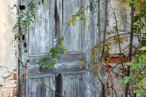 An old door in a brick house, an Architecture Photo by Schreibikus