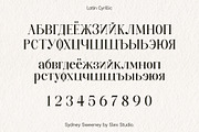 Sydney Sweeney, a Serif Font by Slex Studio (Thumbnail 6 of 12)