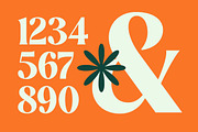 Myngo Bakery Modern Serif Font, a Serif Font by timelesstype.co (Thumbnail 13 of 20)