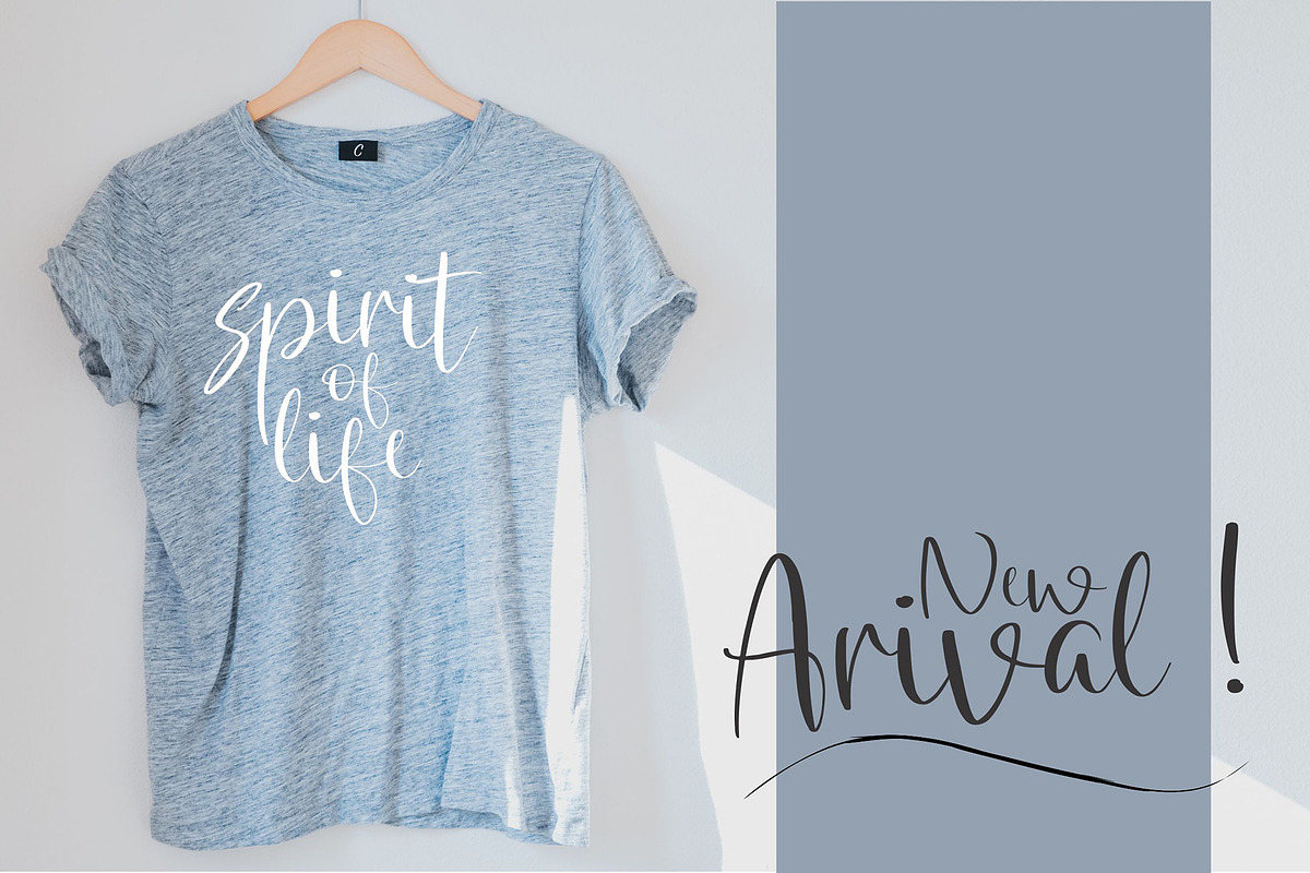 Glethalia Handwritten Script, a Script Font by Formatika Studio (Photo 5 of 8)