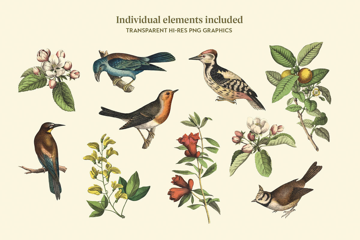 Bird's Garden - Vintage Pattern, a Pattern Graphic by Graphic Goods (Photo 5 of 9)