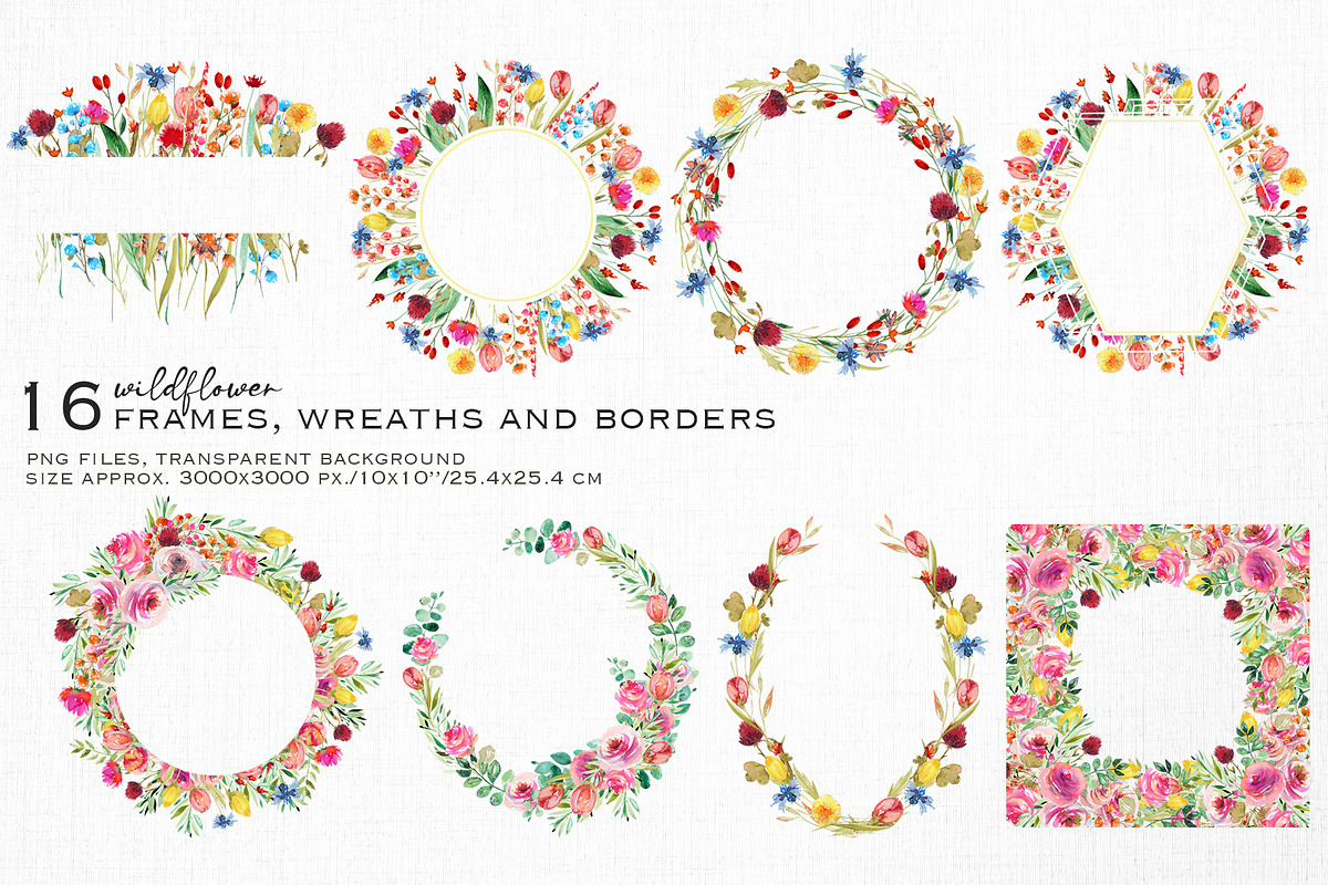 Wild flowers collection, a Texture Illustration by Skliarova (Photo 6 of 11)