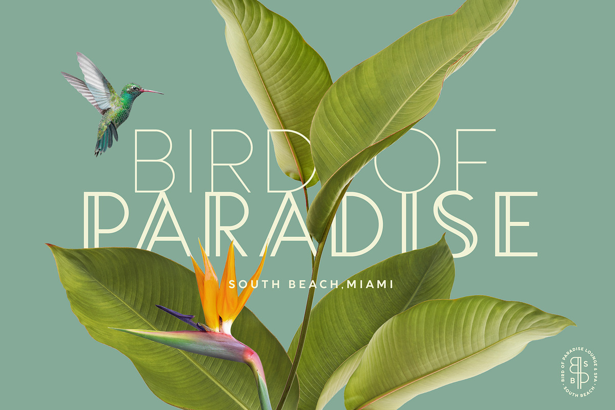 Lincoln Road Font Collection, a Sans Serif Font by DISTRICT 62 STUDIO (Photo 8 of 17)