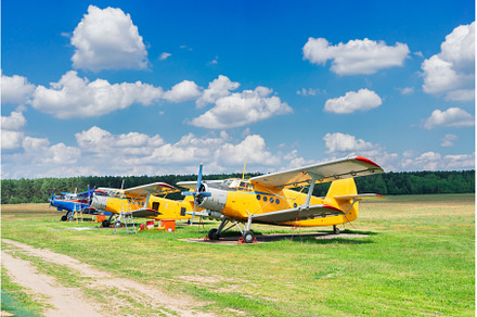 Row of vintage airplanes, a Transportation Photo by Neirfy