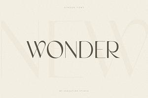 Ginger - Modern Stylish Font