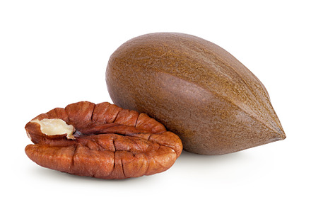 pecan nut isolated on white, a Food & Drink Photo by NataPhoto