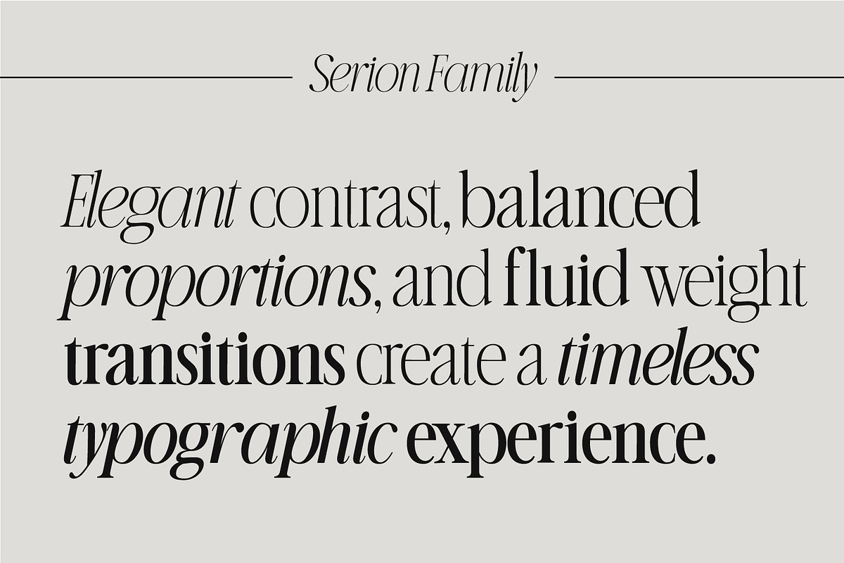 Serion Family, a Serif Font by Prestige Artsy Studio (Photo 5 of 10)