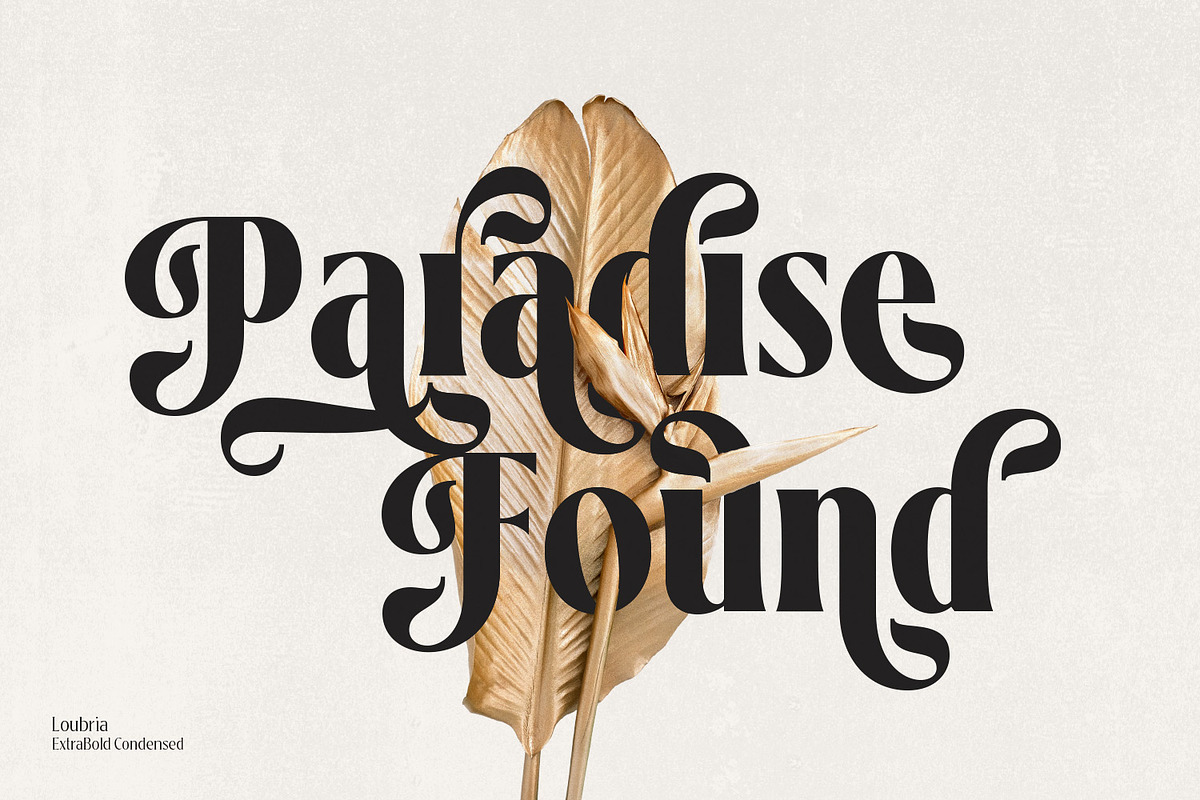 Loubrisa - Playful Branding Fonts, a Serif Font by creativemedialab (Photo 2 of 13)