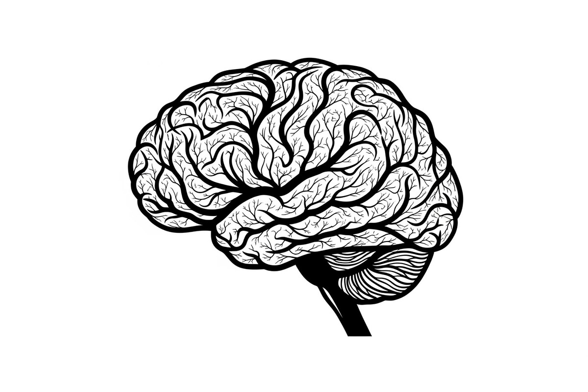 Brain Tree Knowledge Design Bundle, an Illustration by Gaye Art (Photo 29 of 31)