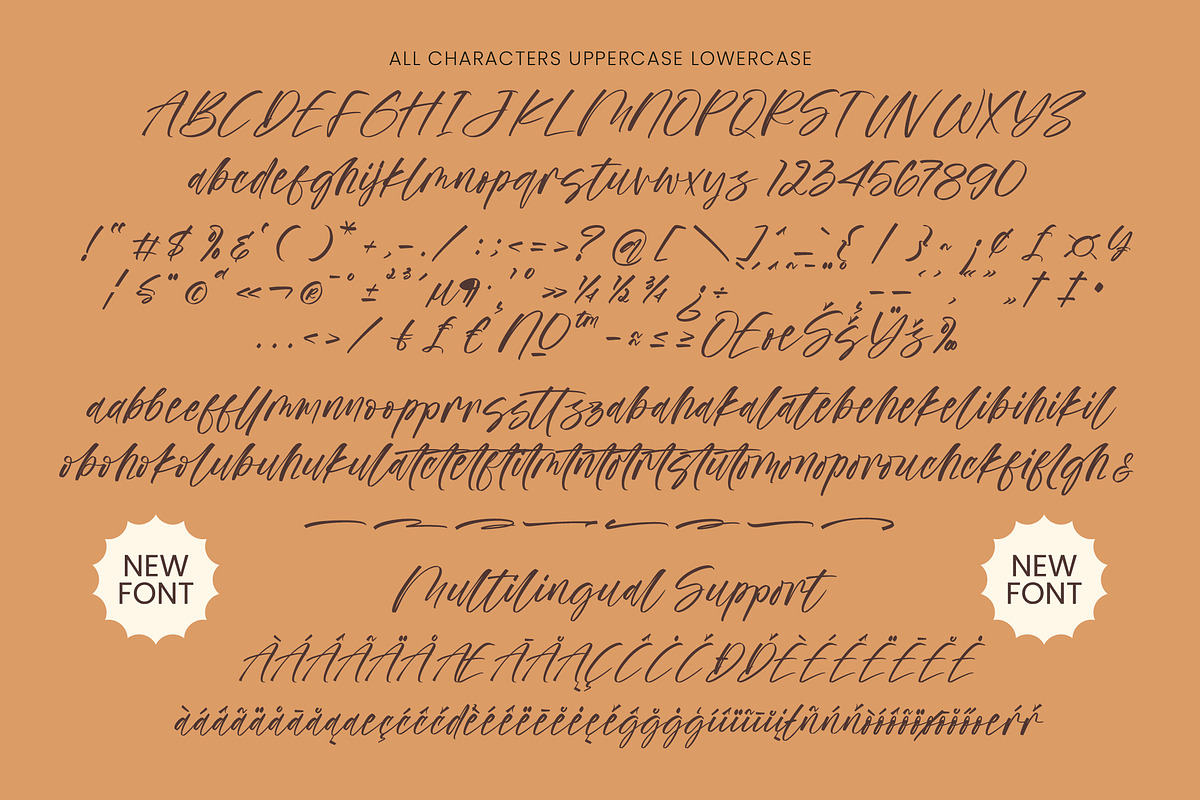 Delight Aurores, a Script Font by operatype.co (Photo 8 of 8)
