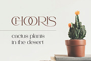 Larisa - Stylish Serif Font, a Serif Font by Aqeel_Art (Thumbnail 7 of 9)