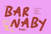 CS Barnaby Pixel