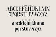 Megumi, a Serif Font by Kenrichi (Thumbnail 3 of 10)