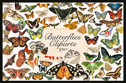 370+ Butterflies Cliparts, an Animal Illustration by Lilithcollageart