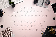 Dolly Script, a Script Font by Font Bundles (Thumbnail 16 of 29)