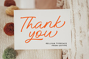 Rellyan, a Script Font by Gatype (Thumbnail 7 of 7)