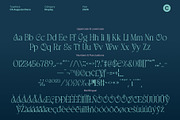 CS Augusta Disco, a Serif Font by Craft Supply Co. (Thumbnail 8 of 8)