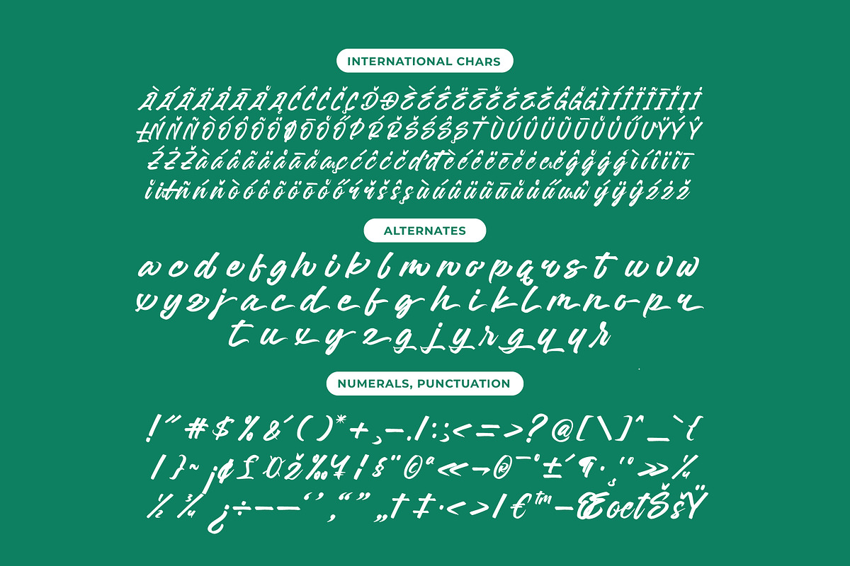 Sattyne Bregast Bold Brush Font Type, a Script Font by Letterena Studios Script (Photo 13 of 15)