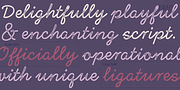 Larrikin, a Sans Serif Font by HeadFirst (Thumbnail 5 of 13)