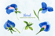 Sweet pea flowers Watercolor png, an Illustration by WatercolorPNG.com (Thumbnail 9 of 10)