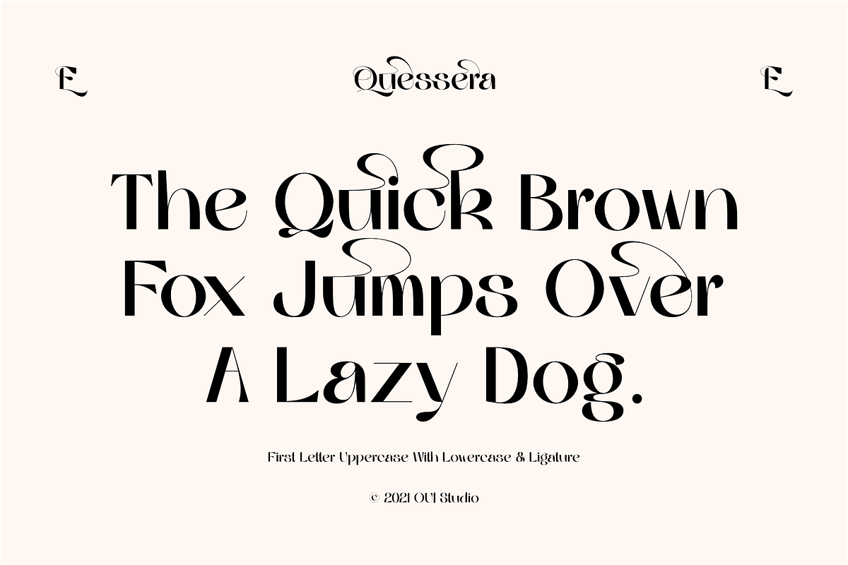 Quessera Font, a Sans Serif Font by Oui Studio (Photo 7 of 21)