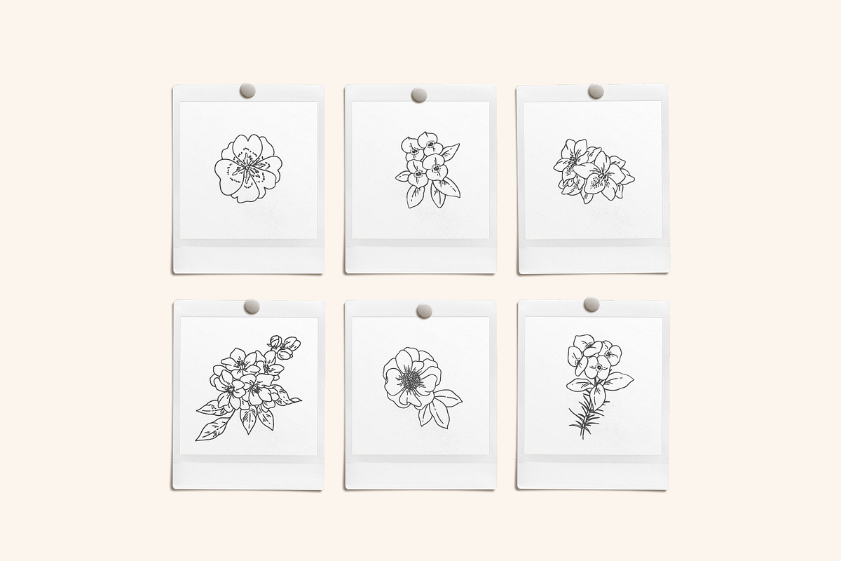 Flower Garden Vector Illustrations, a Decorative Illustration by Emma Webb Studio (Photo 7 of 8)
