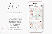 Instagram Post Template Mint Rose, a Templates & Theme by Bumblebee (Thumbnail 2 of 5)